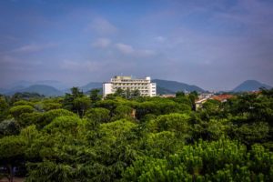 hotel revenue management and marketing venezia